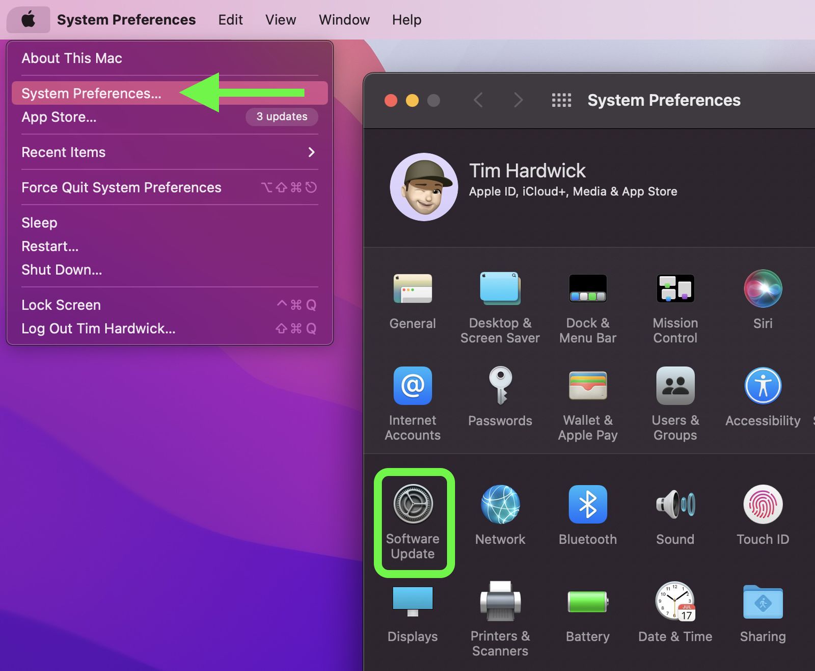 sys prefs software update