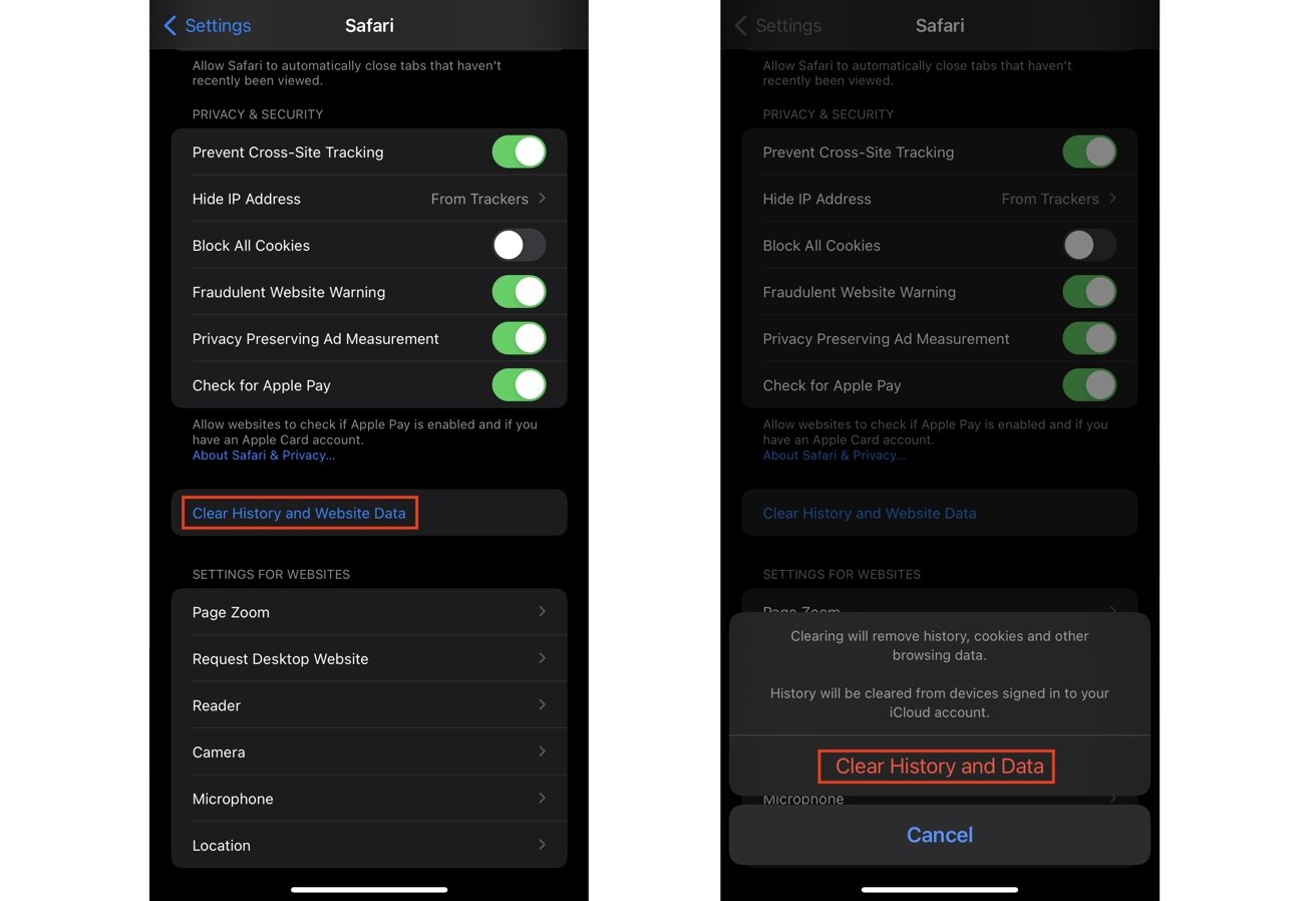 45866 89419 safari ios clear data