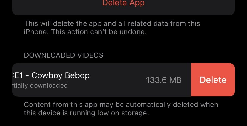 45866 89420 netflix delete file